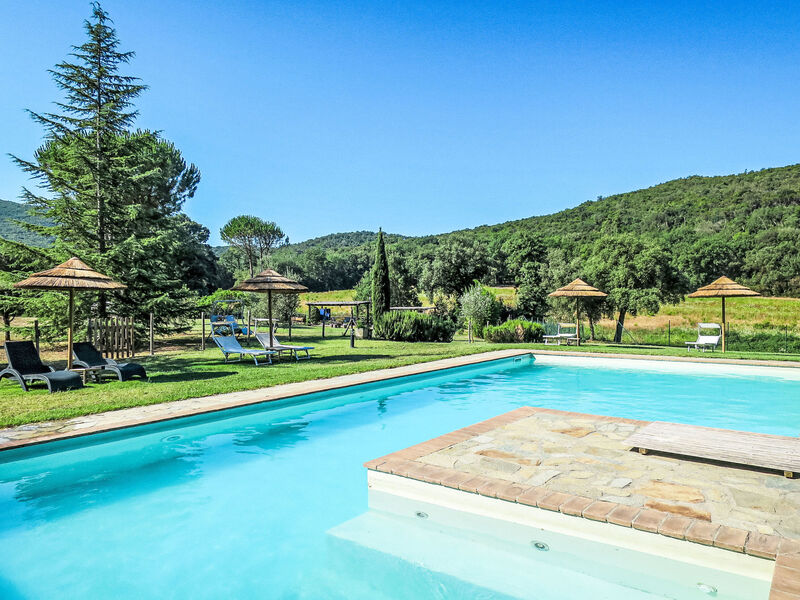 Corbezzolo