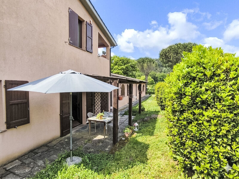 Corbezzolo