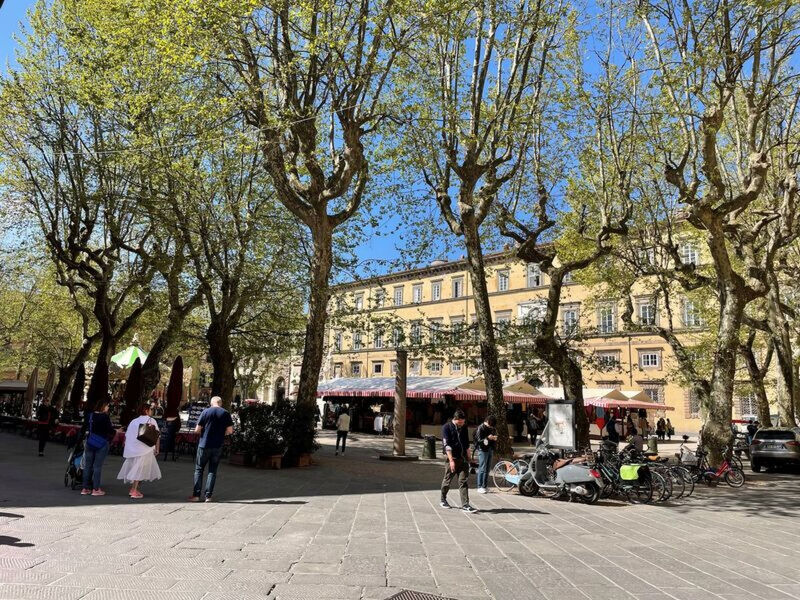 Sui Tetti Di Lucca