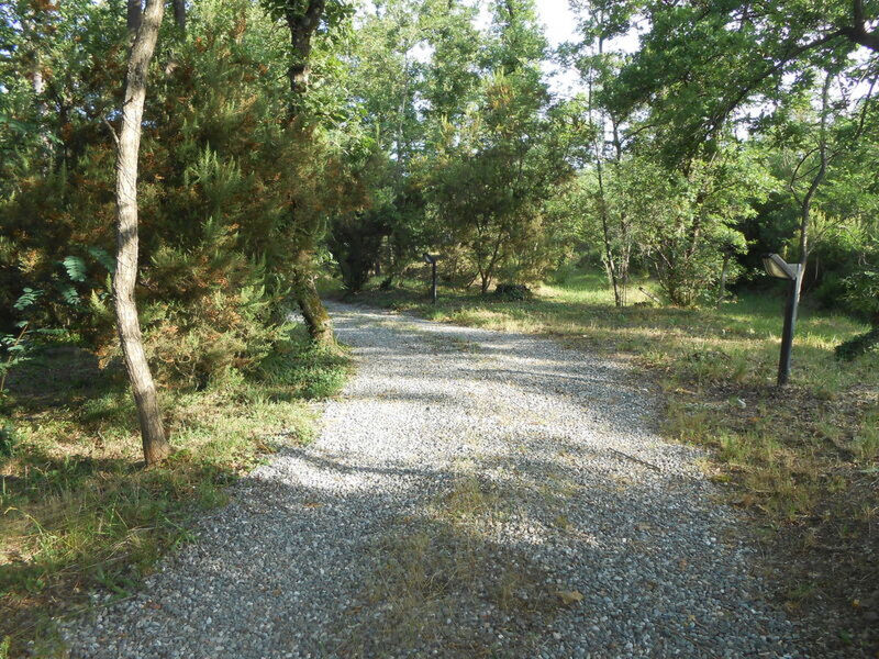 Green Hills 13