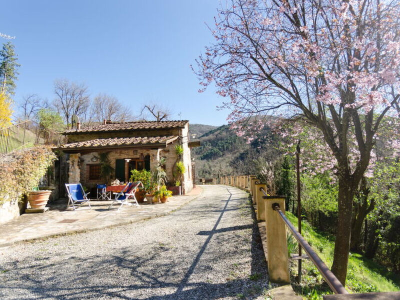 Le Piane