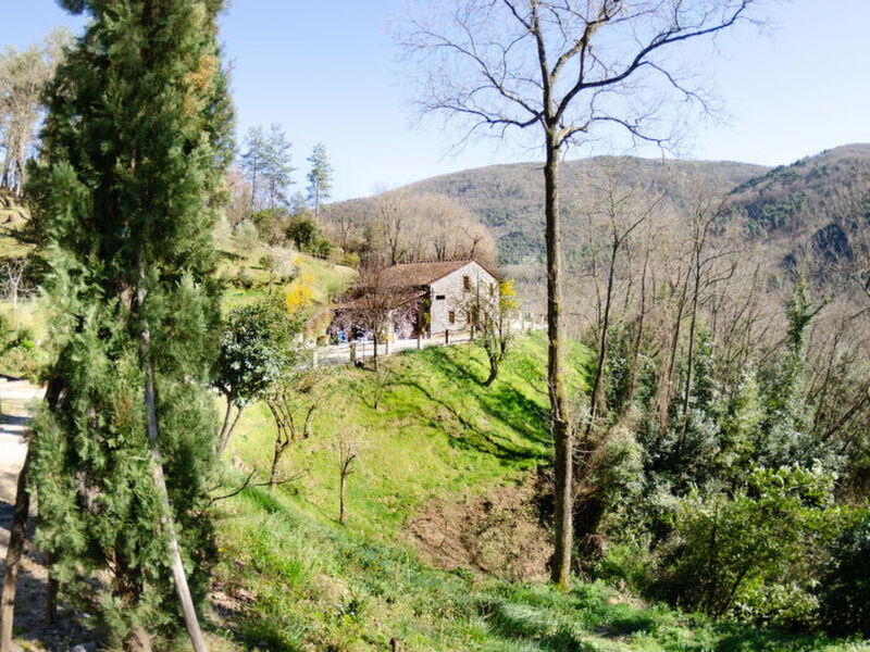 Le Piane