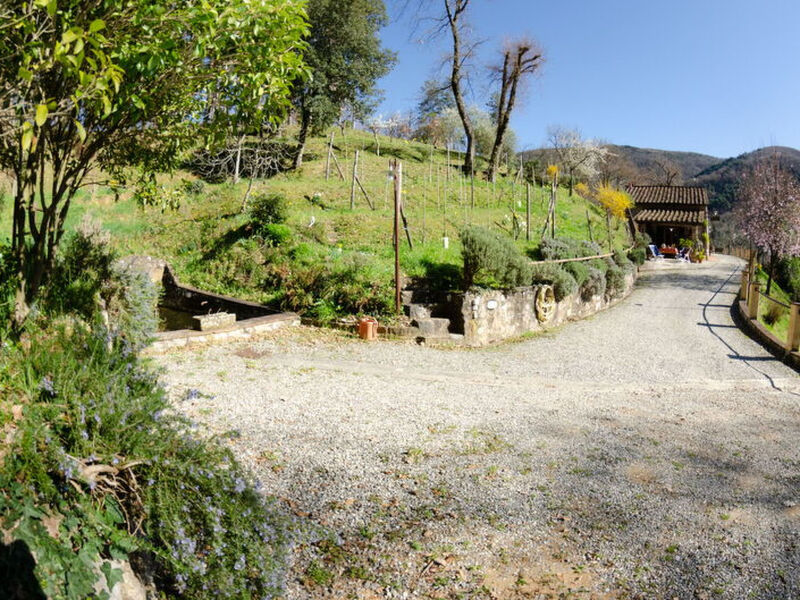 Le Piane