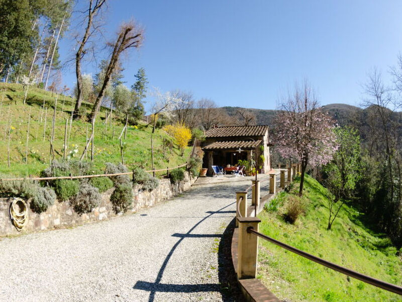 Le Piane