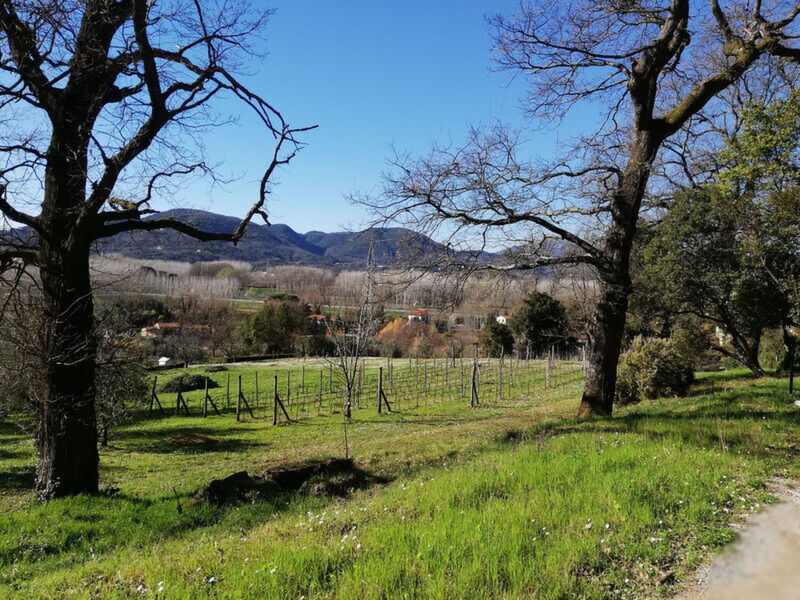 Le Piane