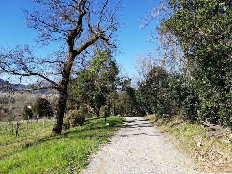 Le Piane