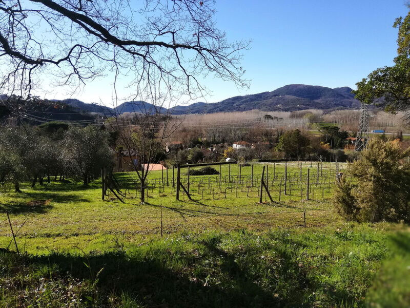 Le Piane