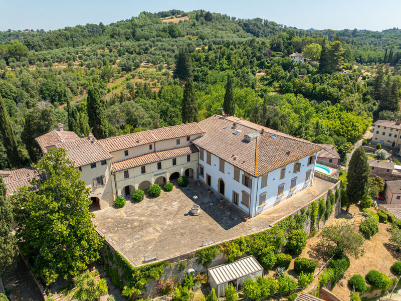 di Alica