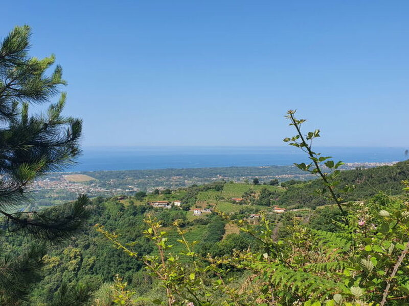 La Casa Sul Forte