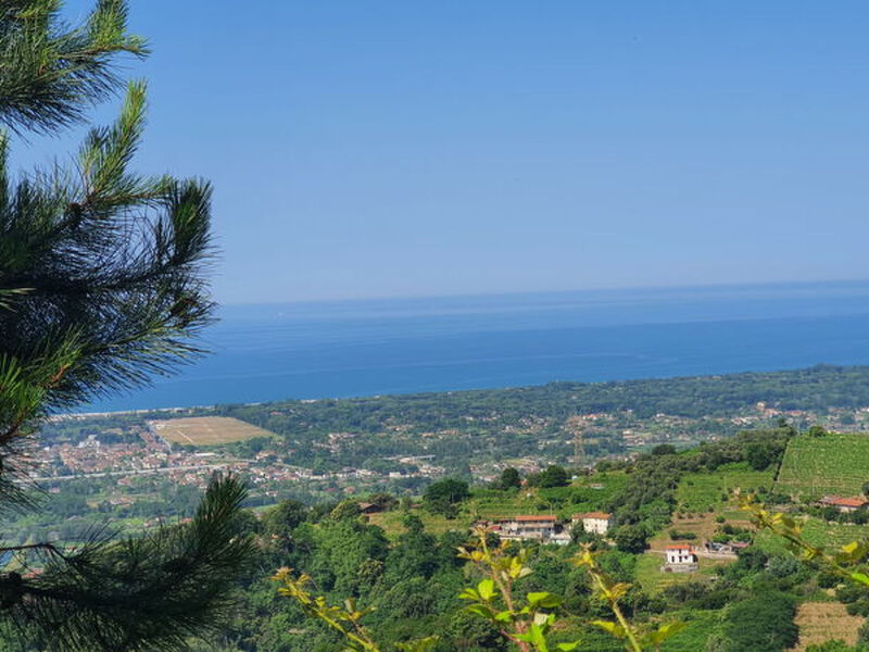La Casa Sul Forte