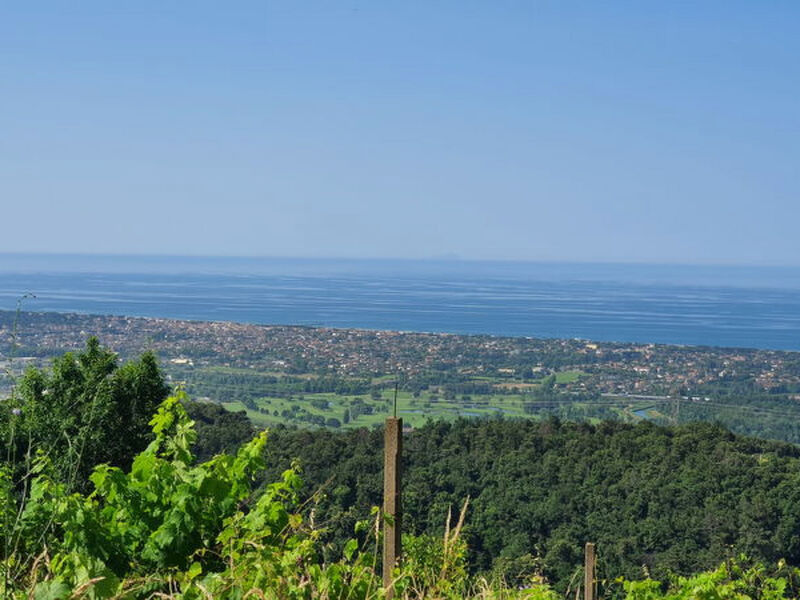 La Casa Sul Forte