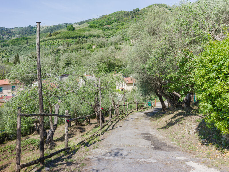 Bella Casina