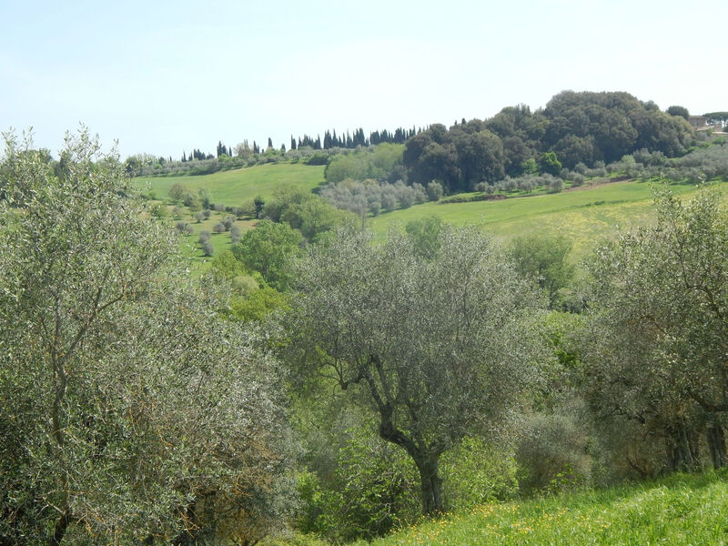 Wohnung auf dem Lande, 3 km vom Zentrum von Siena entfernt