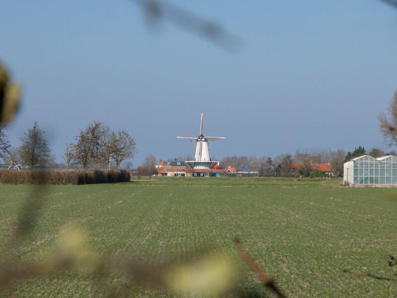 Oude Havenlicht