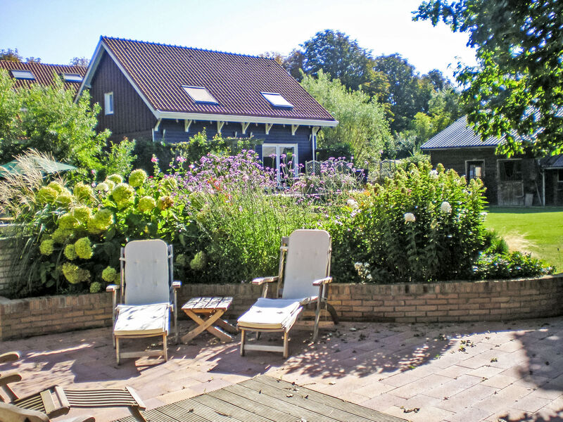 Zon