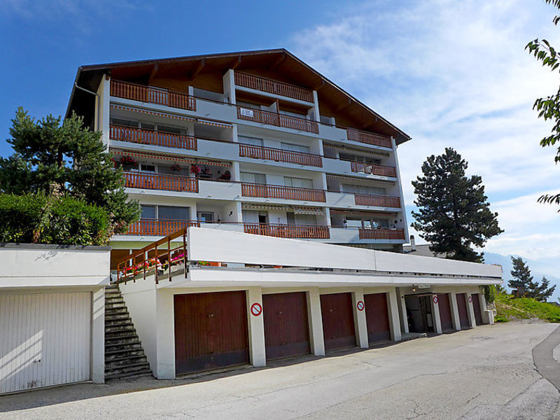 Les Pins