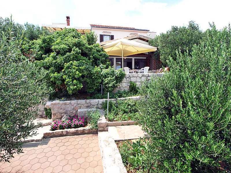 Mirta