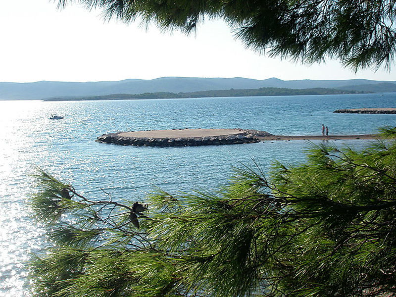 Kala