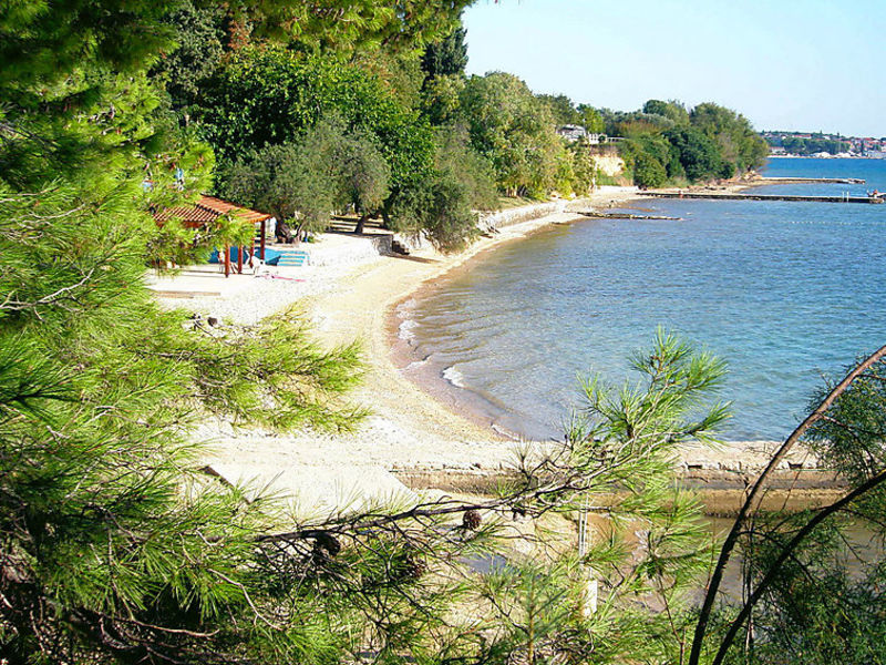 Kala