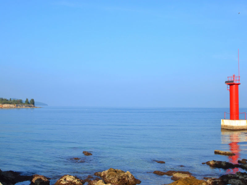 Profaca