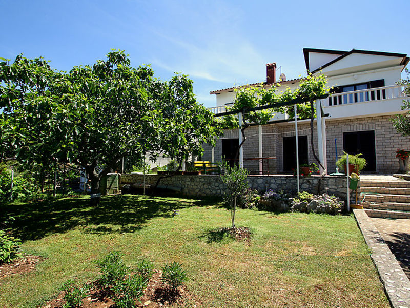 Jakov