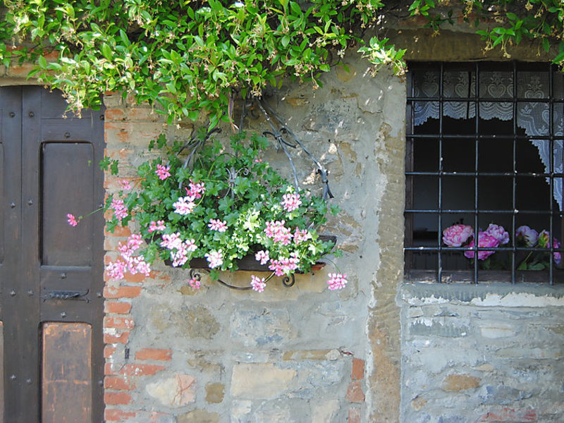 Il Lamone