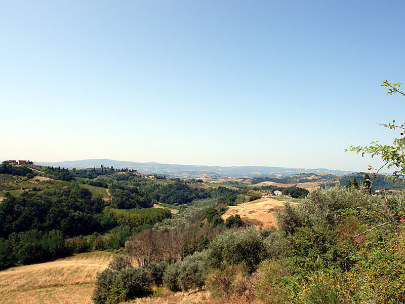 Podere Degli Olivi