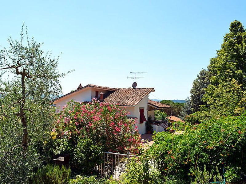 Il Pino