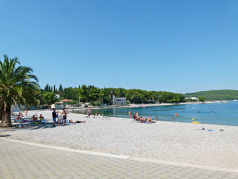 Solenta