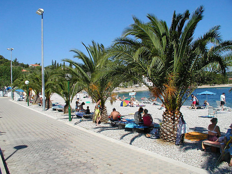 Solenta