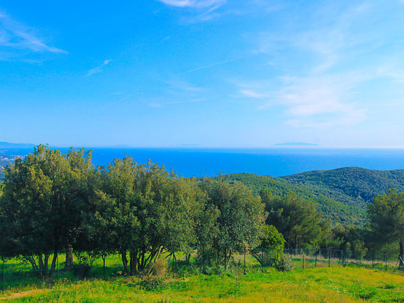 Isole