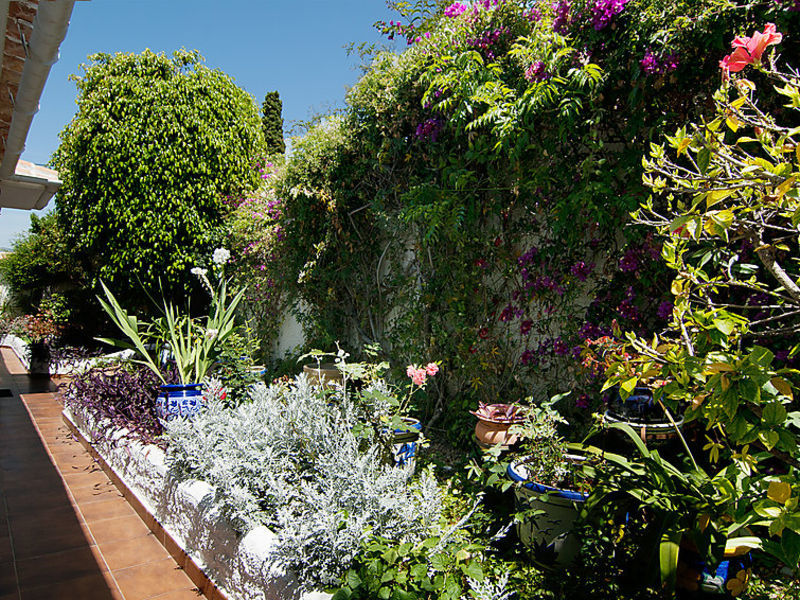Villa Jacaranda