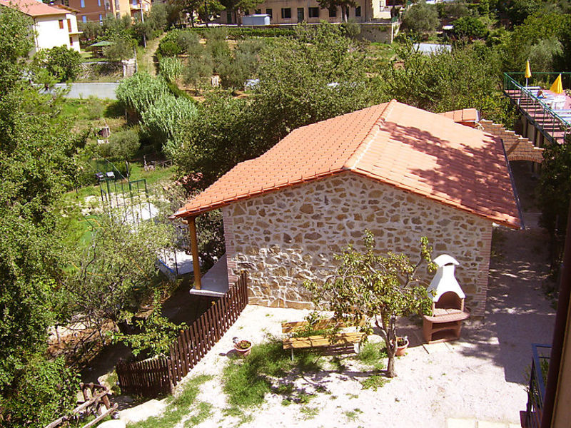 Olivo