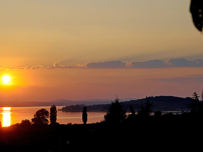 Trasimeno Link