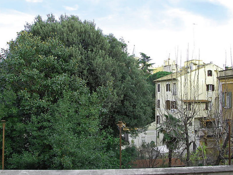 Apartment Fori Imperiali Enchanting