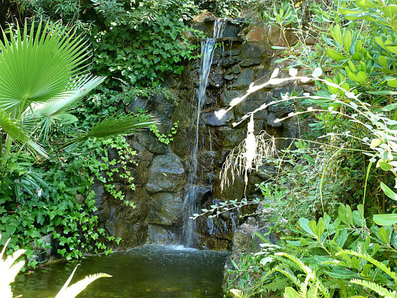 Jardines Del Mar