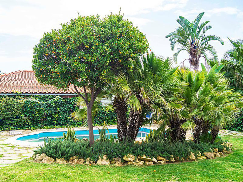 Casa Los Yayos
