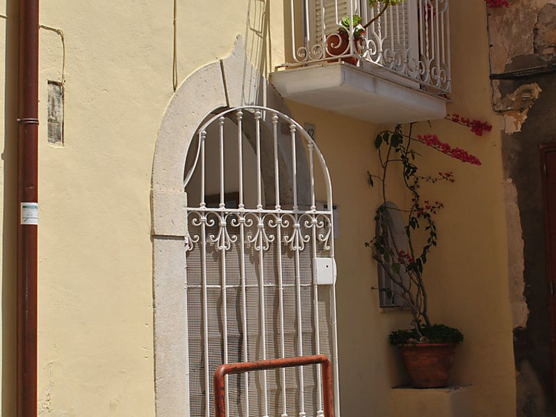 Fancy House