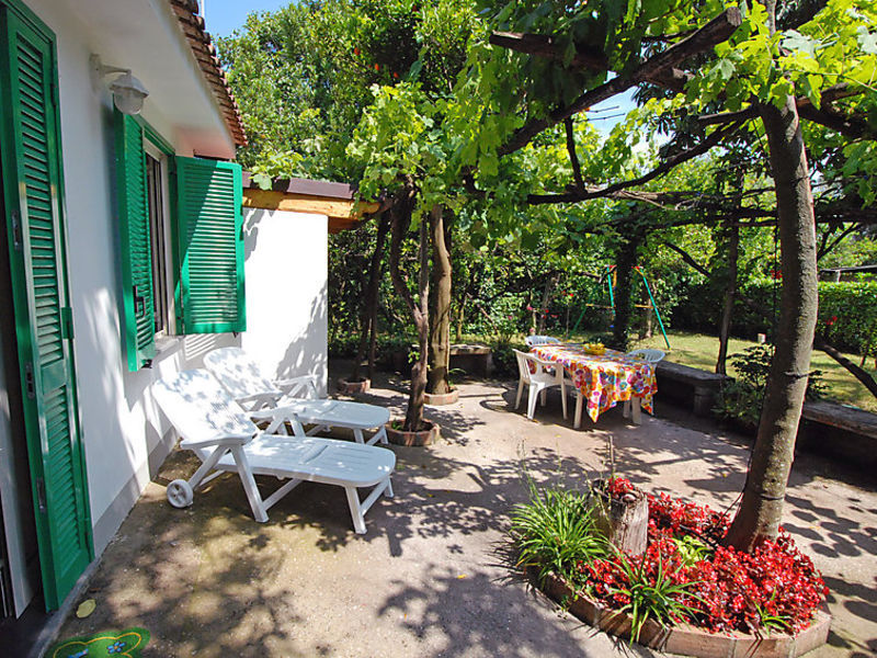 Sweet Garden