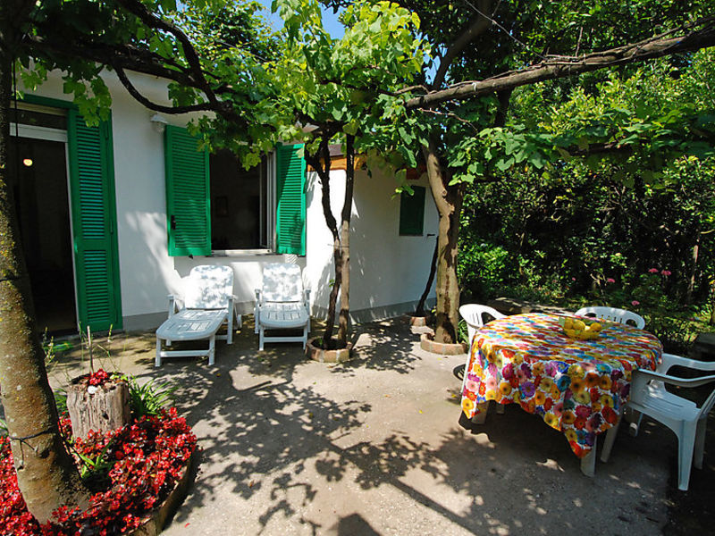 Sweet Garden