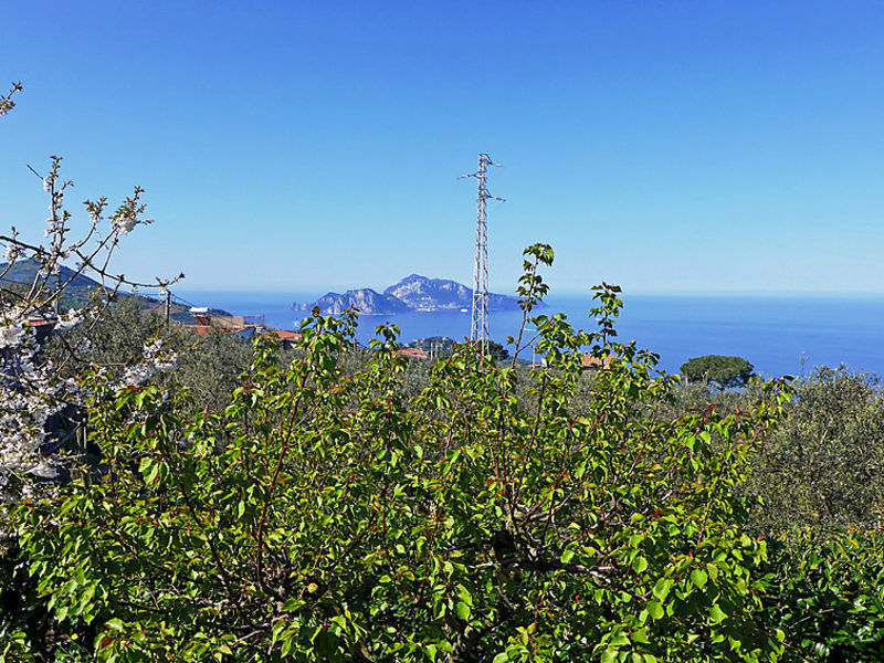 La Corte