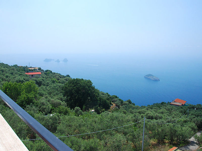 Vivara