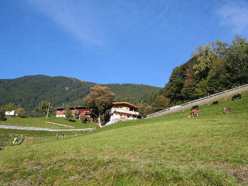 Hamberg Hütte