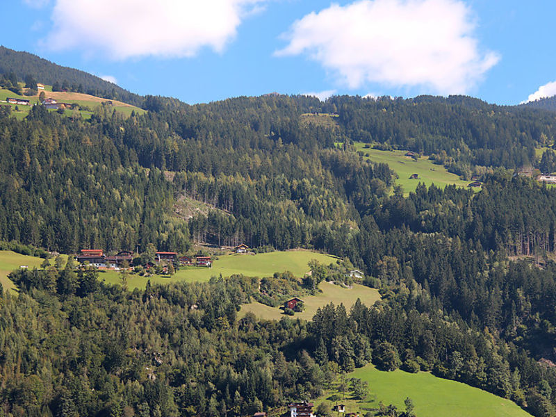 Wildauer