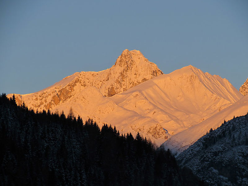 Susi
