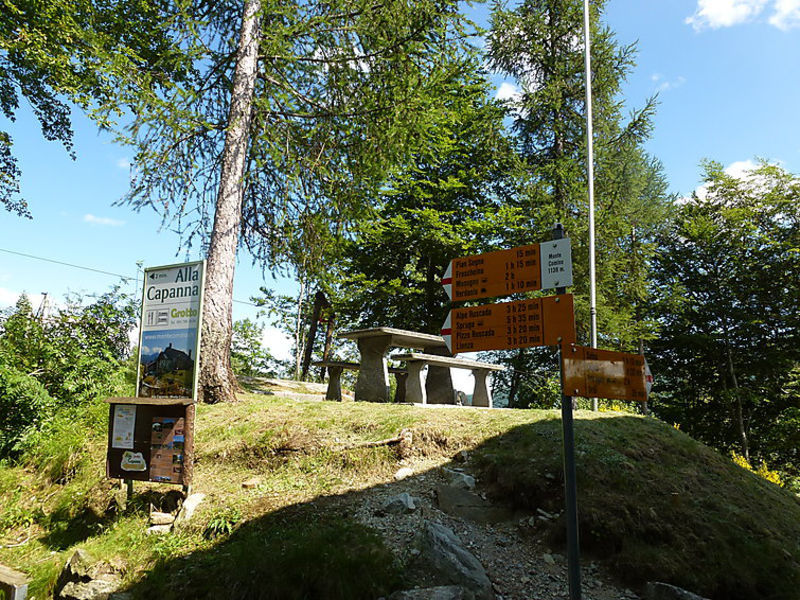 Cà Du Papa 1