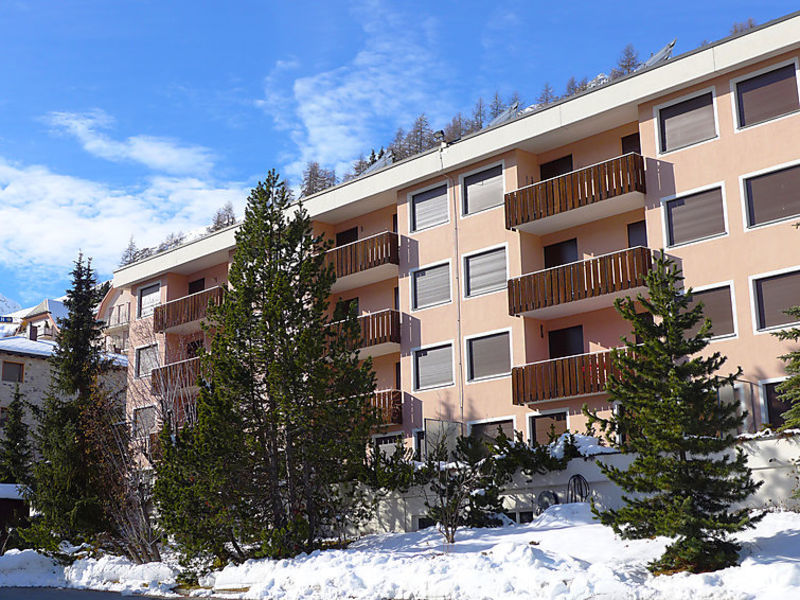 Silva Haus 234
