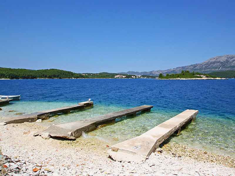 Dalmatino