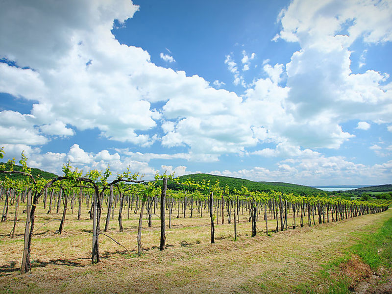 Balaton028