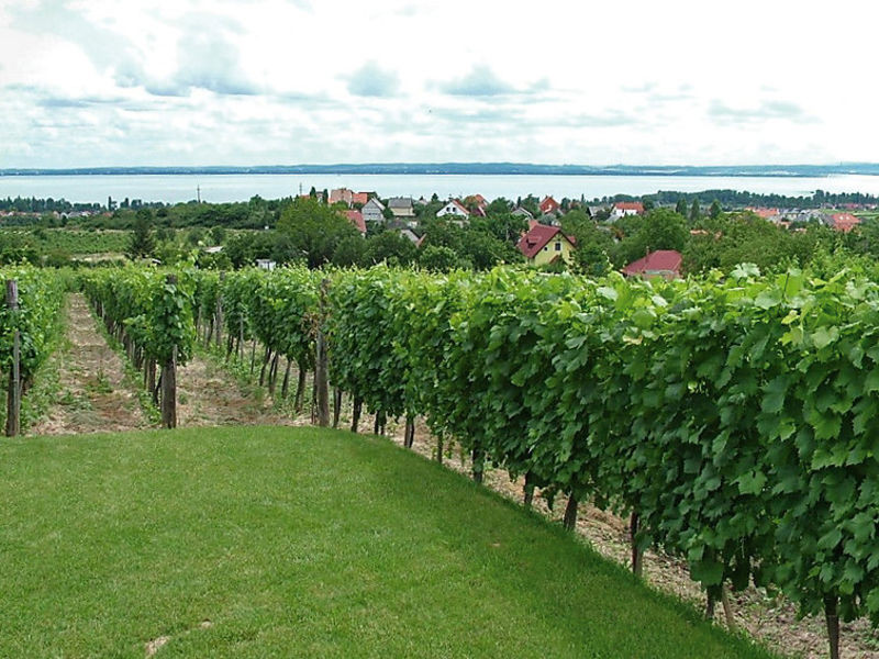 Balaton029